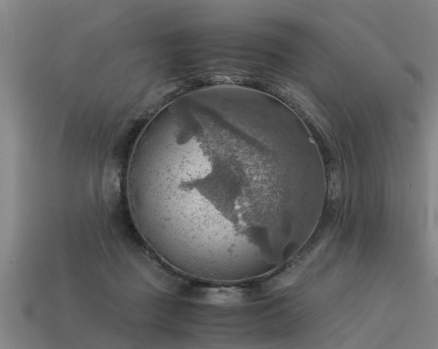 X0000113590363200909251140