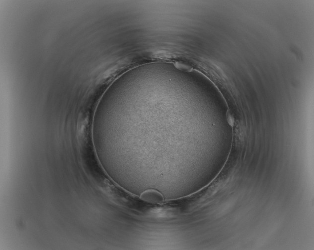 X0000113590364200909251140