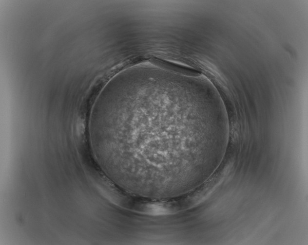 X0000113590365200909251140