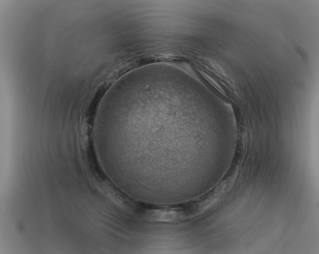 X0000113590366200909251140