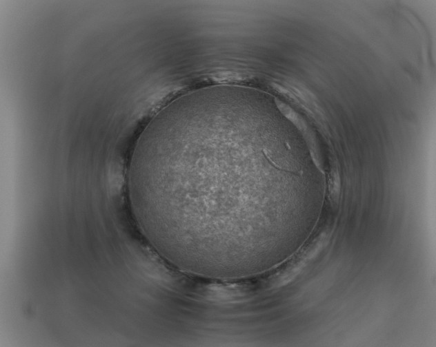 X0000113590367200909251140