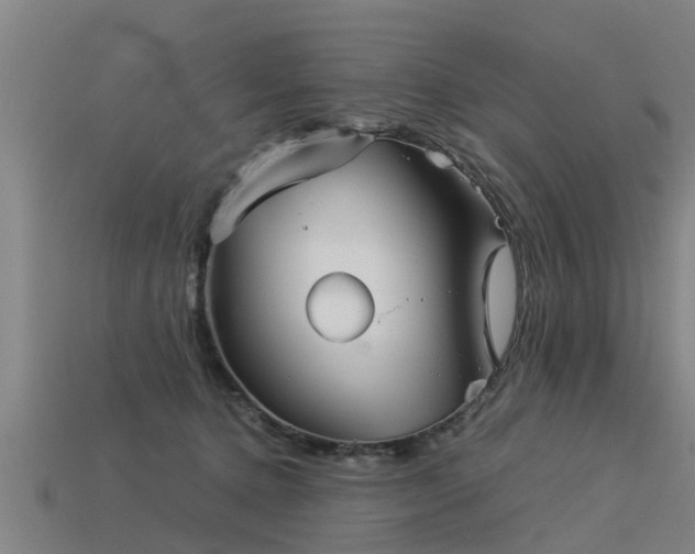 X0000113590368200909251140