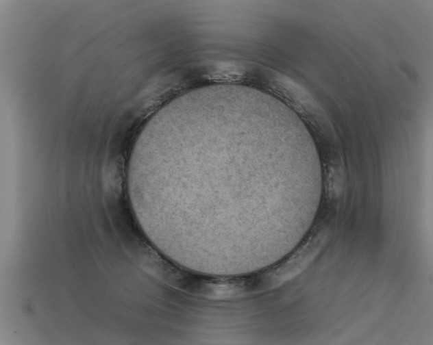 X0000113590370200909251140