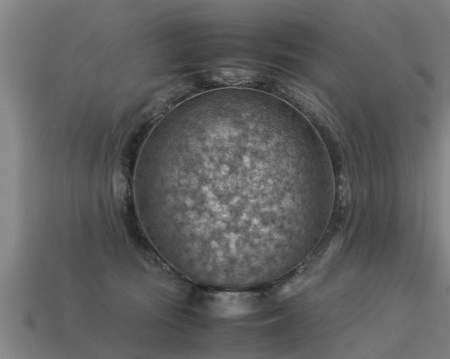 X0000113590371200909251140