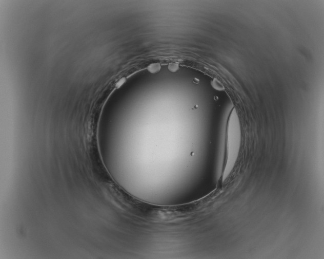 X0000113590372200909251141