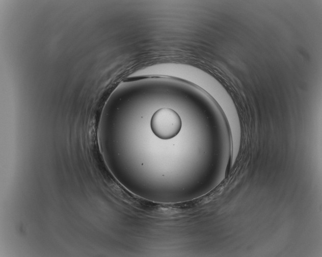 X0000113590376200909251141