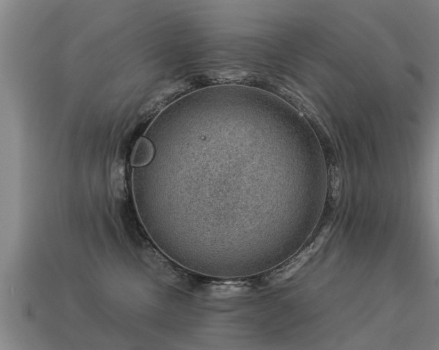 X0000113590378200909251141