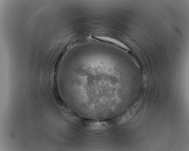 X0000113590379200909251141