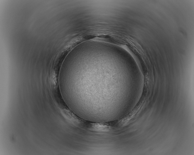 X0000113590380200909251141