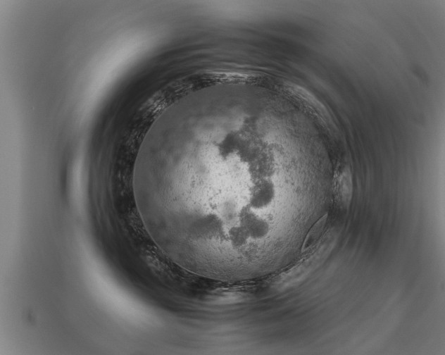 X0000113590381200909251141