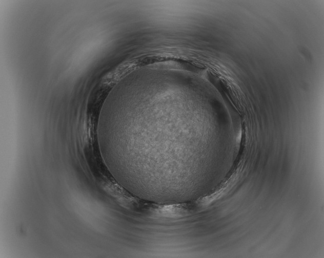 X0000113590382200909251141