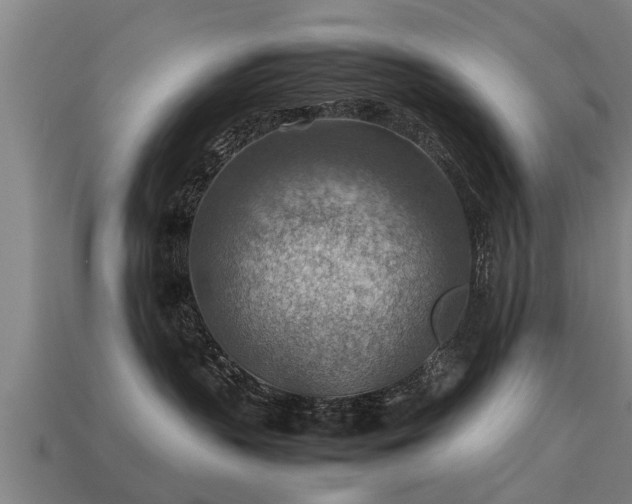 X0000113590383200909251141