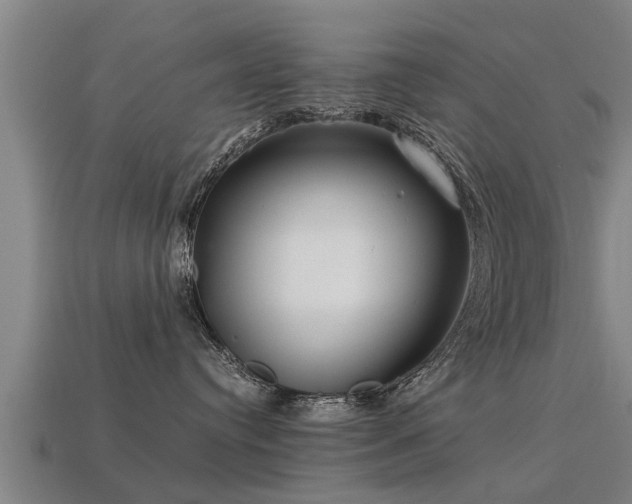 X0000113590384200909251141