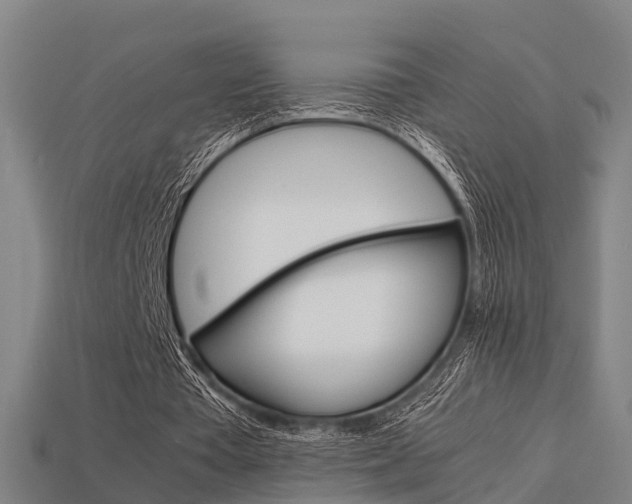 X0000113590385200909251140