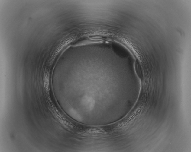 X0000113590386200909251140