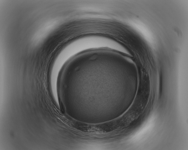 X0000113590387200909251140