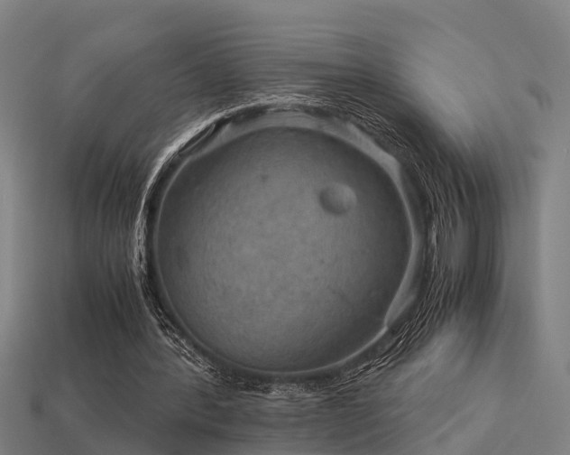 X0000113590388200909251140