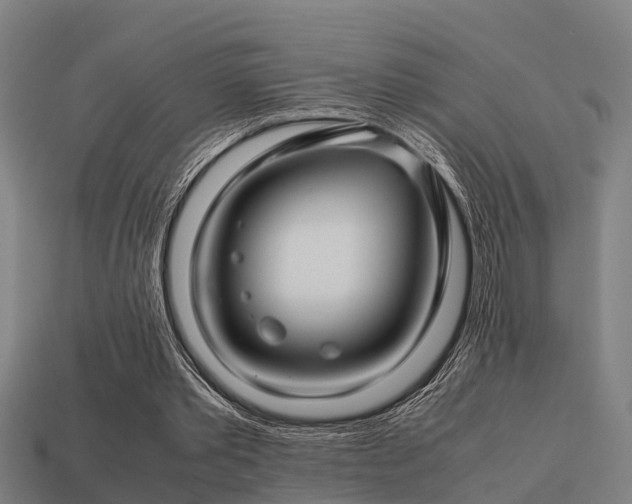 X0000113590389200909251140