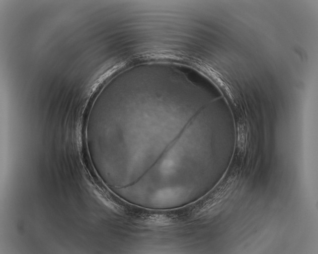 X0000113590390200909251140