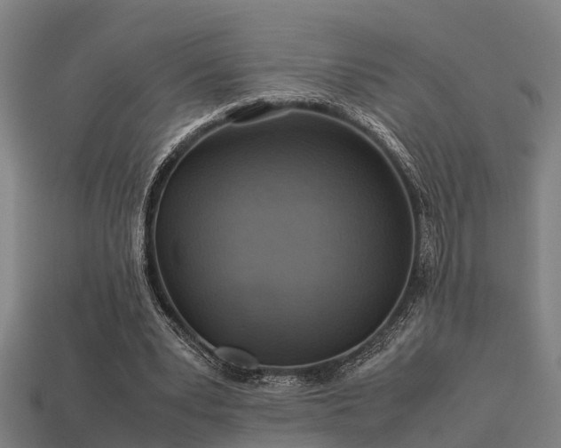 X0000113590391200909251140