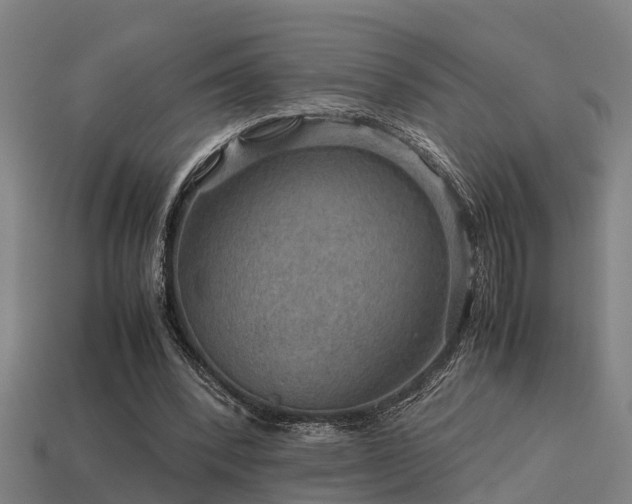 X0000113590392200909251140