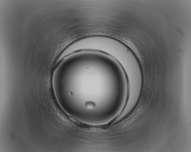 X0000113590393200909251140