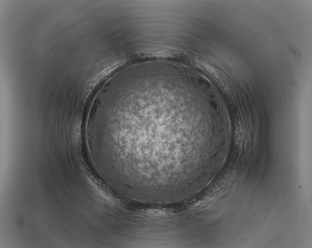 X0000113590394200909251140