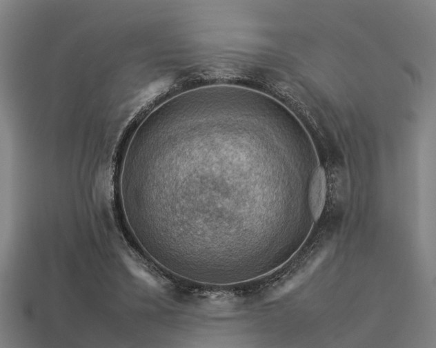 X0000113590395200909251140