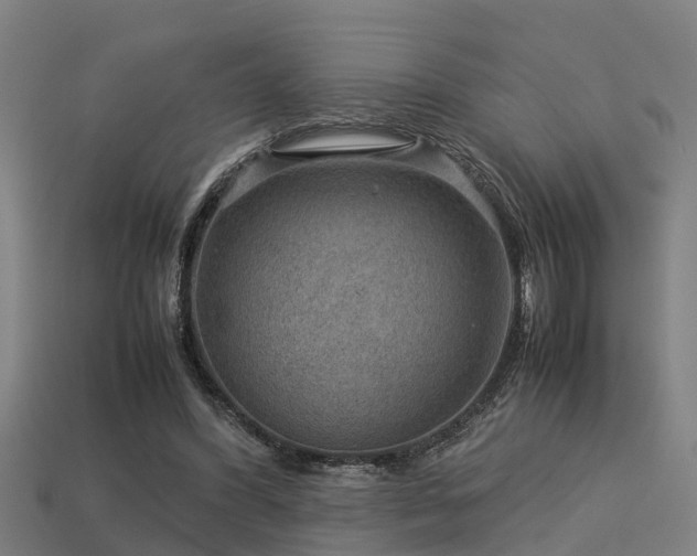 X0000113590396200909251140