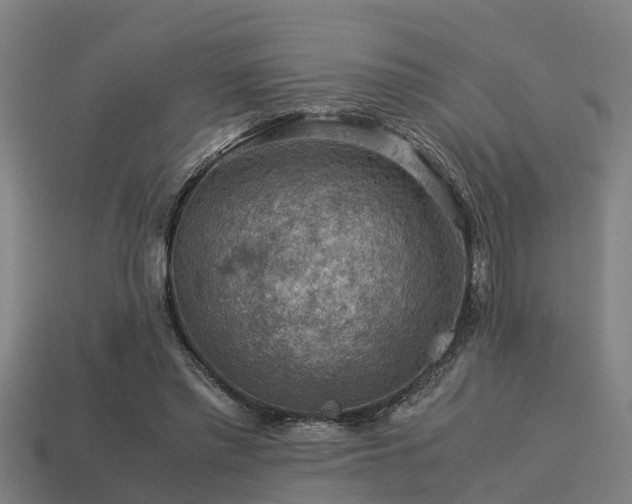 X0000113590397200909251140