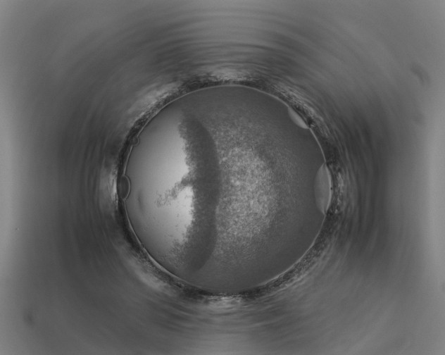 X0000113590398200909251140