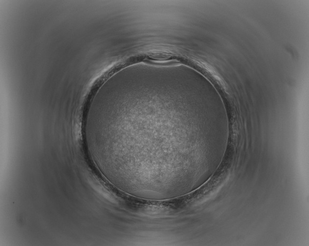 X0000113590399200909251140