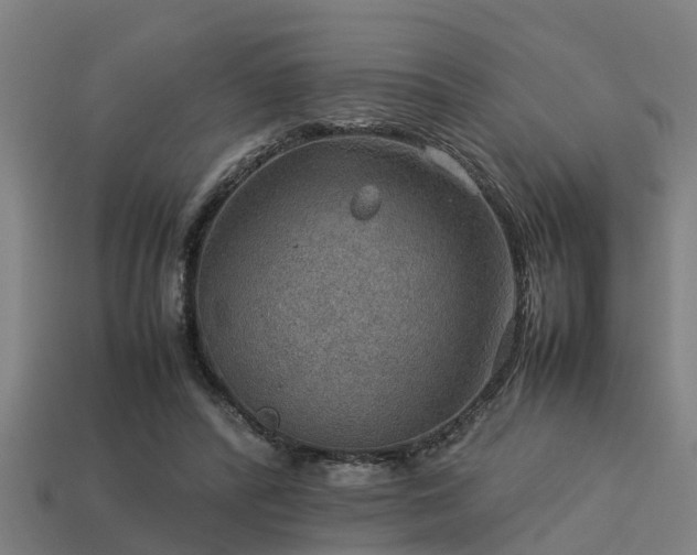 X0000113590400200909251140