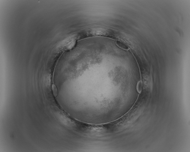 X0000113590401200909251140