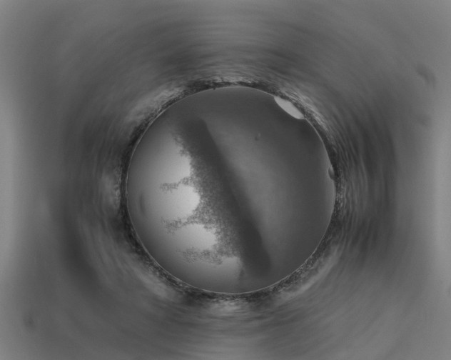 X0000113590402200909251140