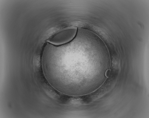 X0000113590403200909251140