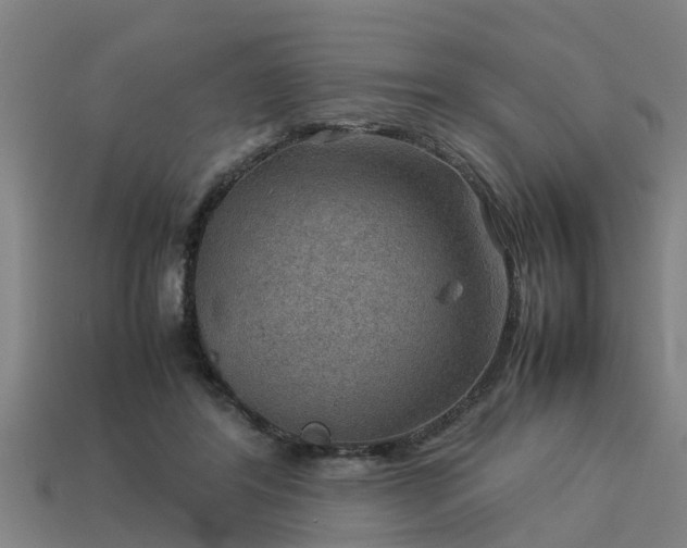 X0000113590404200909251140