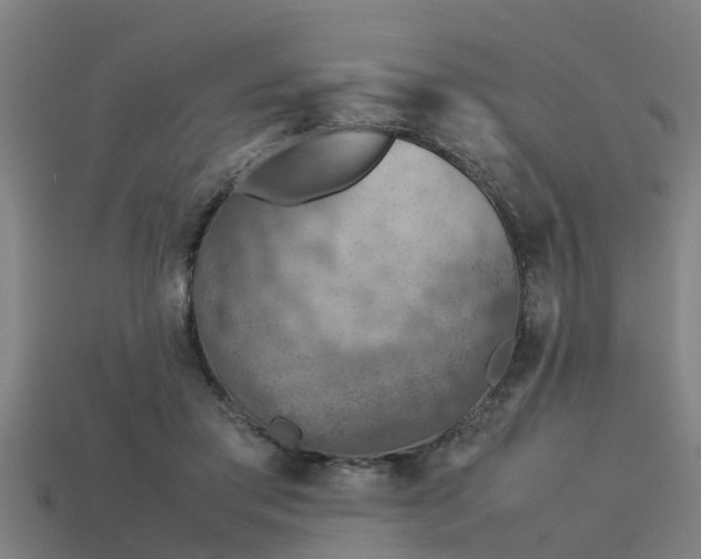 X0000113590405200909251140