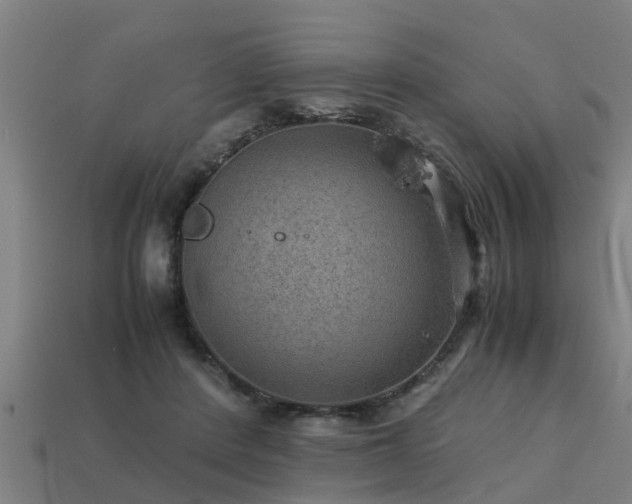 X0000113590408200909251140