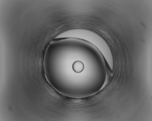 X0000113590409200909251140