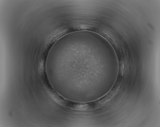 X0000113590410200909251140