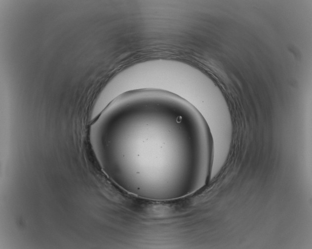 X0000113590413200909251140