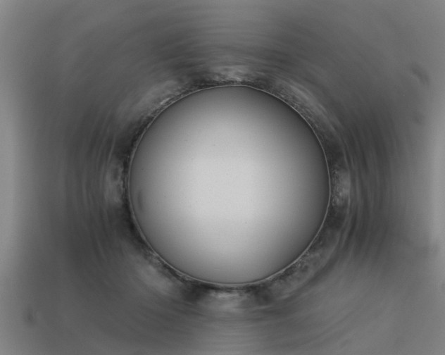 X0000113590414200909251140