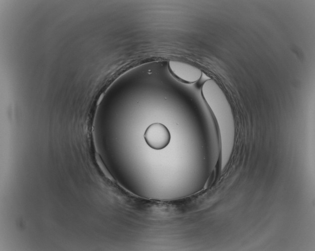 X0000113590415200909251140