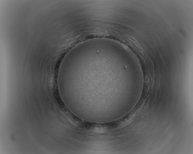 X0000113590416200909251140