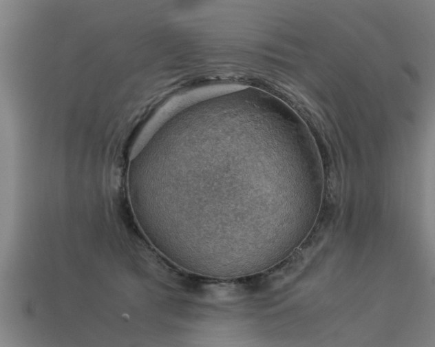 X0000113590417200909251140