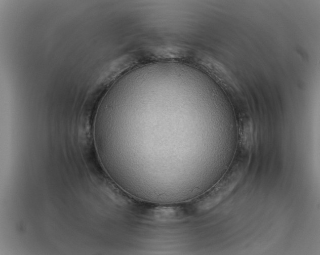 X0000113590418200909251140