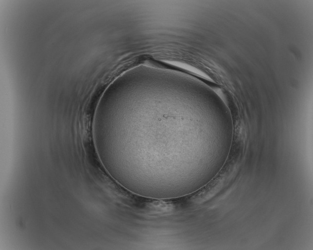 X0000113590421200909251140