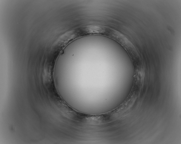 X0000113590422200909251140