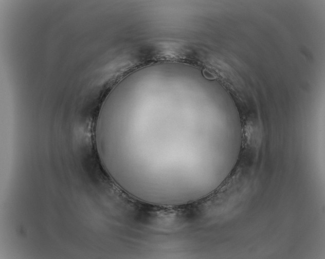 X0000113590423200909251140